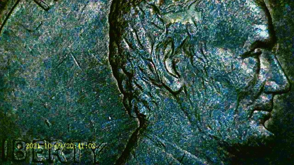 1991-P-Spike-Head-++++?