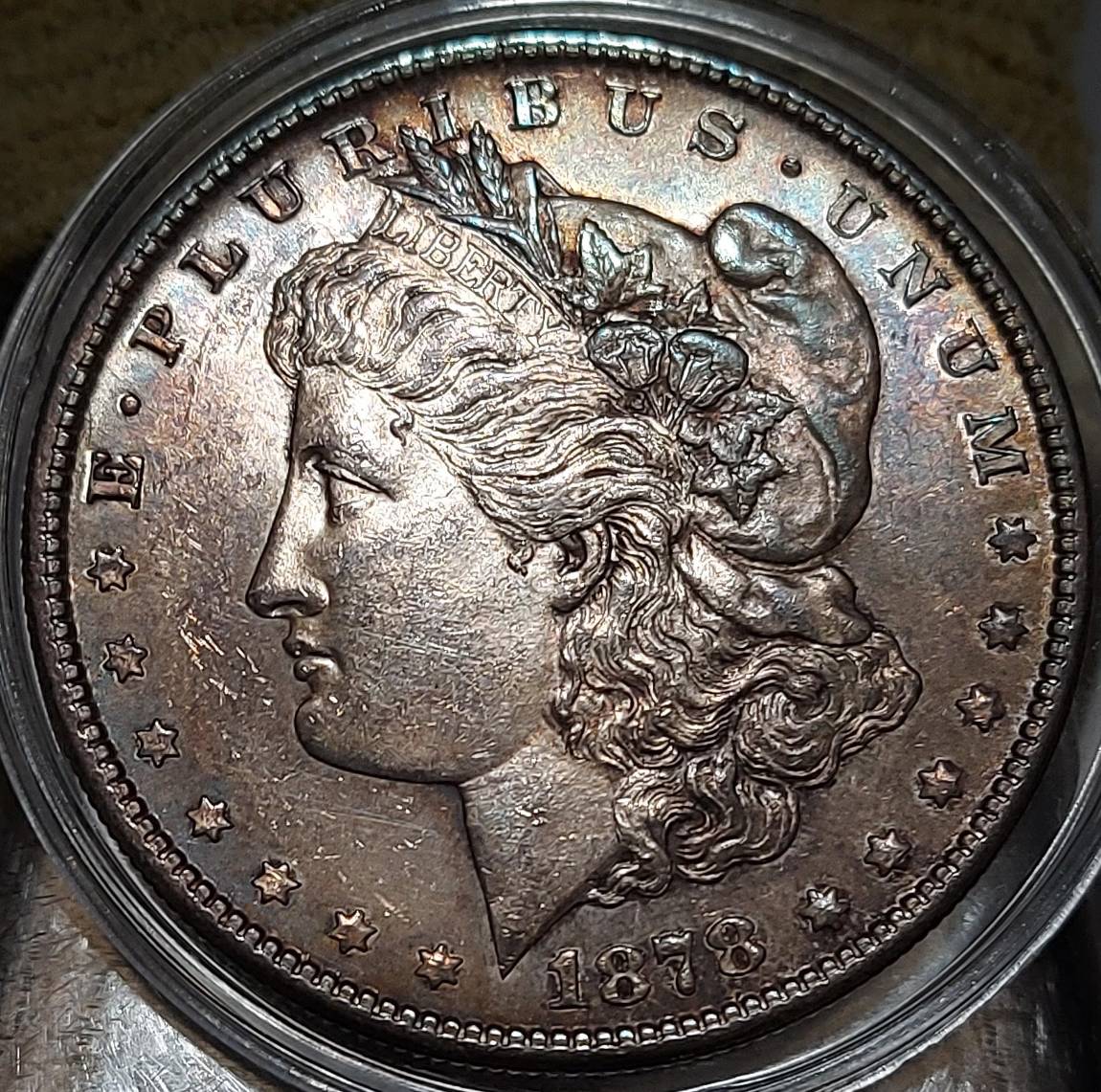 1878-Morgan.brother-Can-You-Spare-A-Grade-Opinion-?