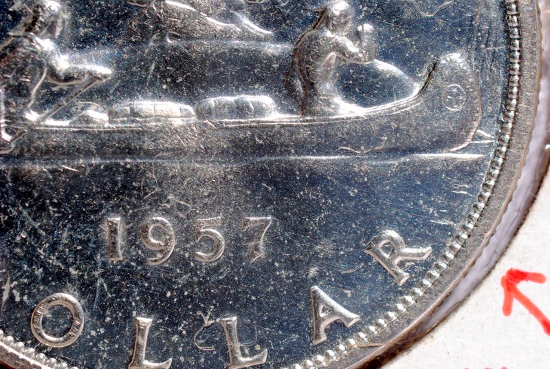 The-31-Days-Of-Canadian-Silver-Dollars