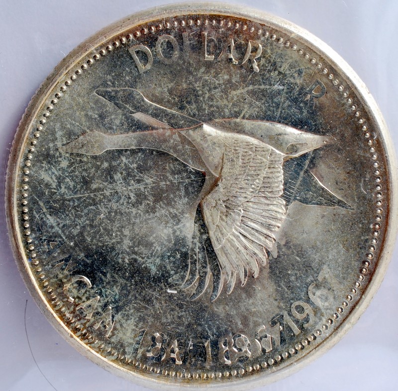 The-31-Days-Of-Canadian-Silver-Dollars
