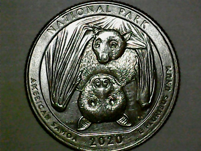 2020-Washington-Samoa-Fruit-Bat-Quarter-Die-Breaks,-Doubling,-&-Other-Errors
