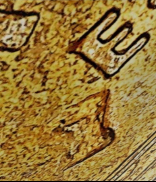 1995-Lincoln-D-Large-Die-Chip-Reverse