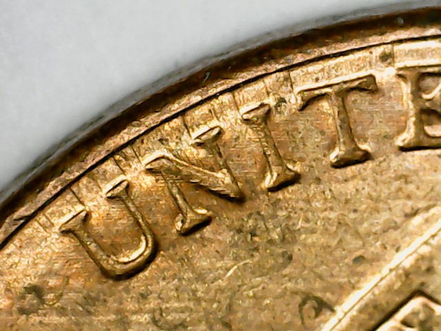2013-Lincoln--D-Shield-Mule?