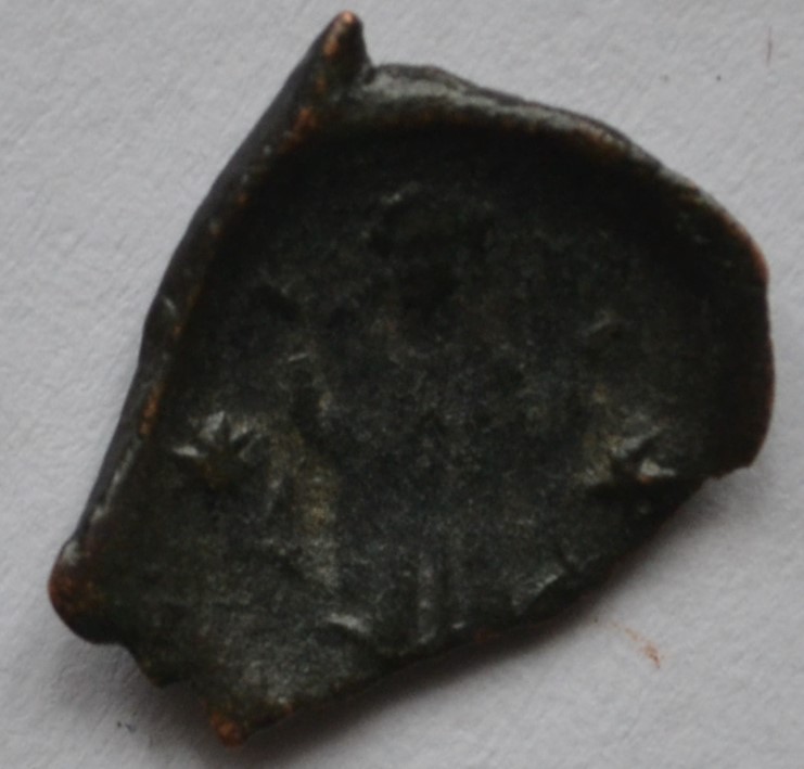 Very-Small-Trachy-To-ID