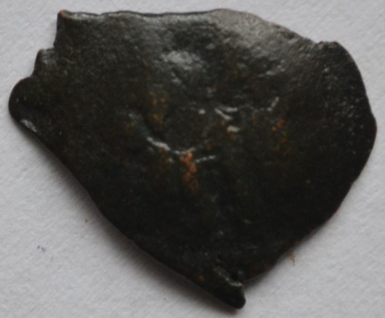 Very-Small-Trachy-To-ID