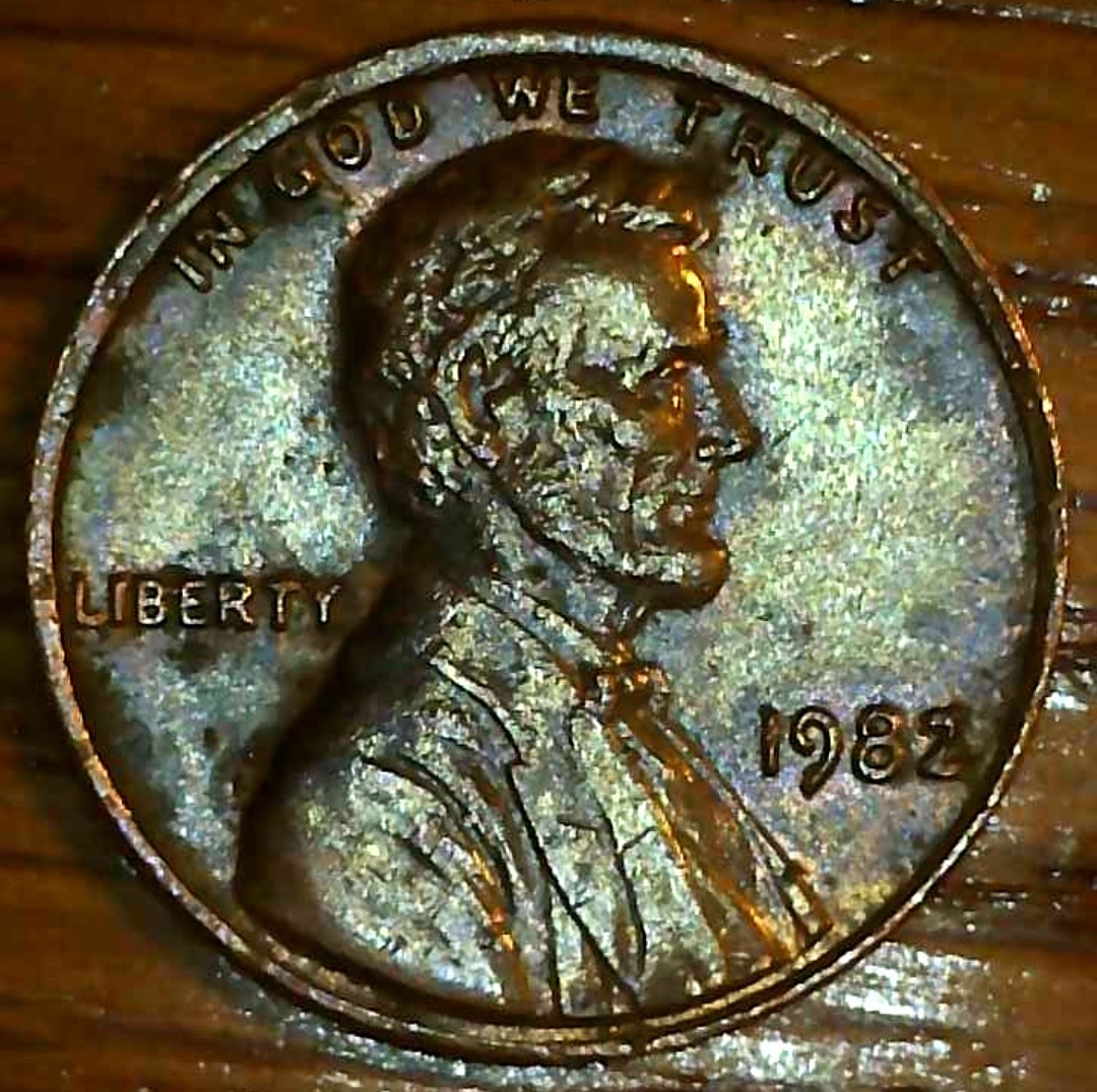1982-Penny---Possible-Collar-Issue-?
