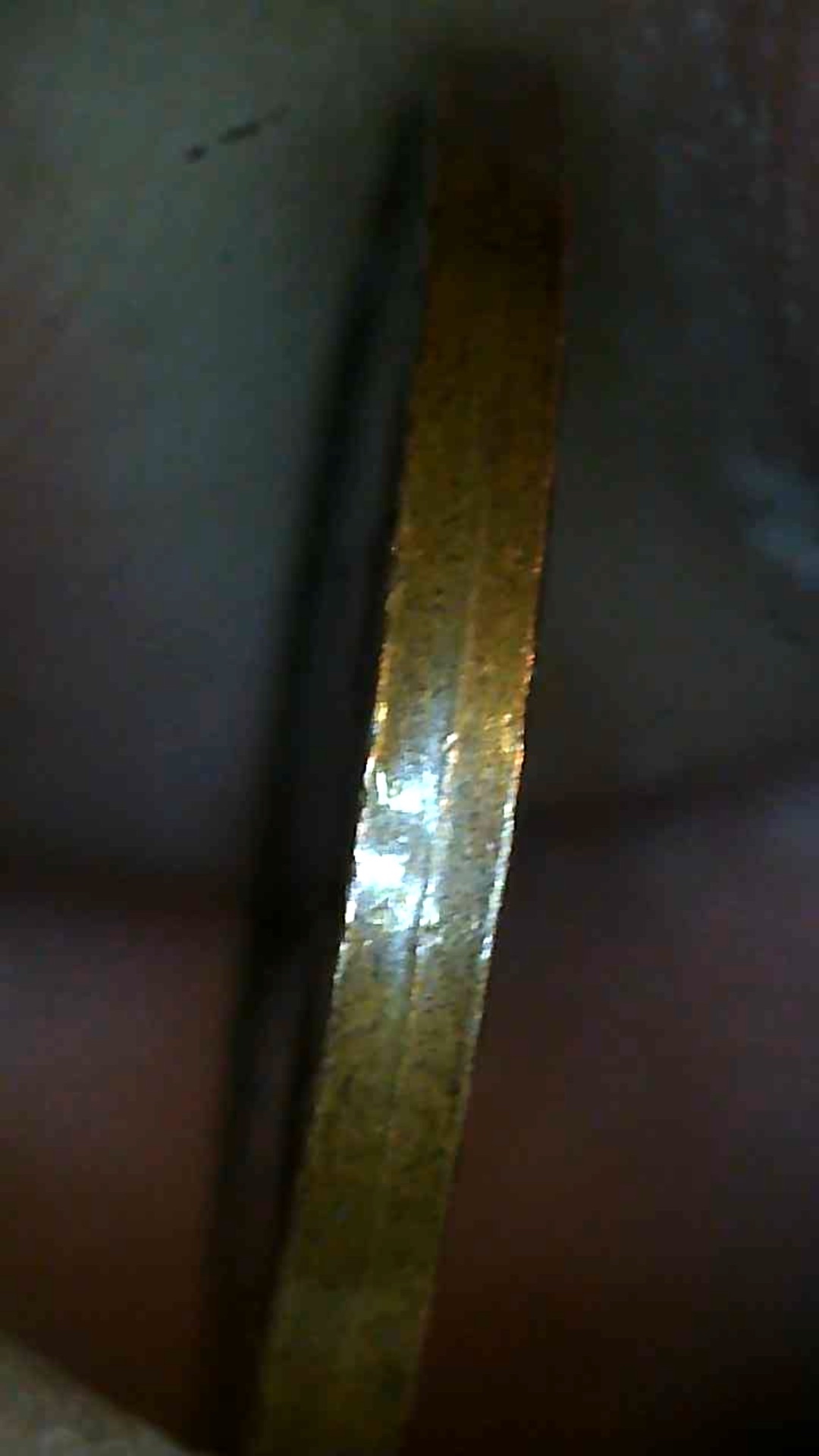 1982-Penny---Possible-Collar-Issue-?