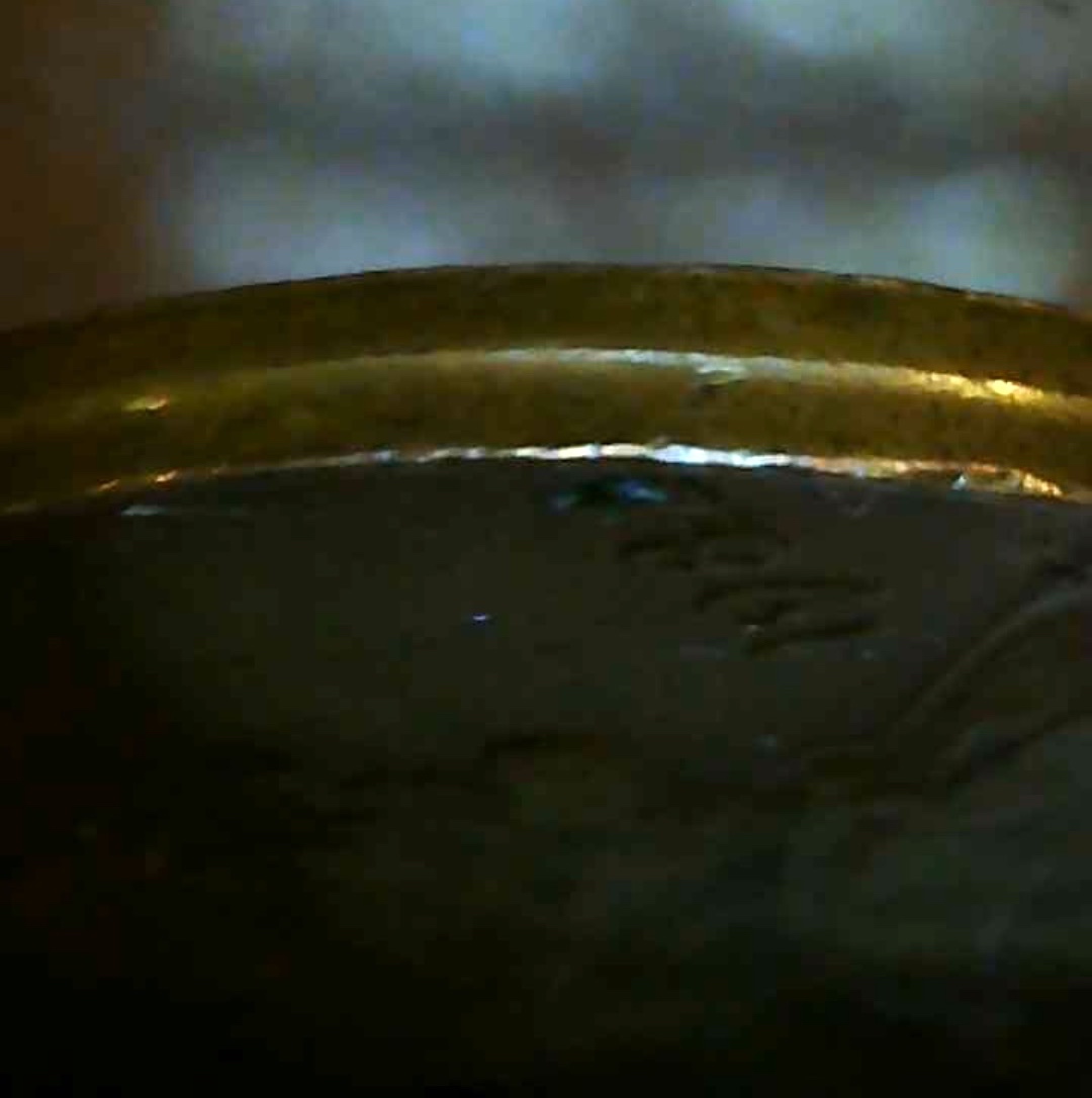 1982-Penny---Possible-Collar-Issue-?