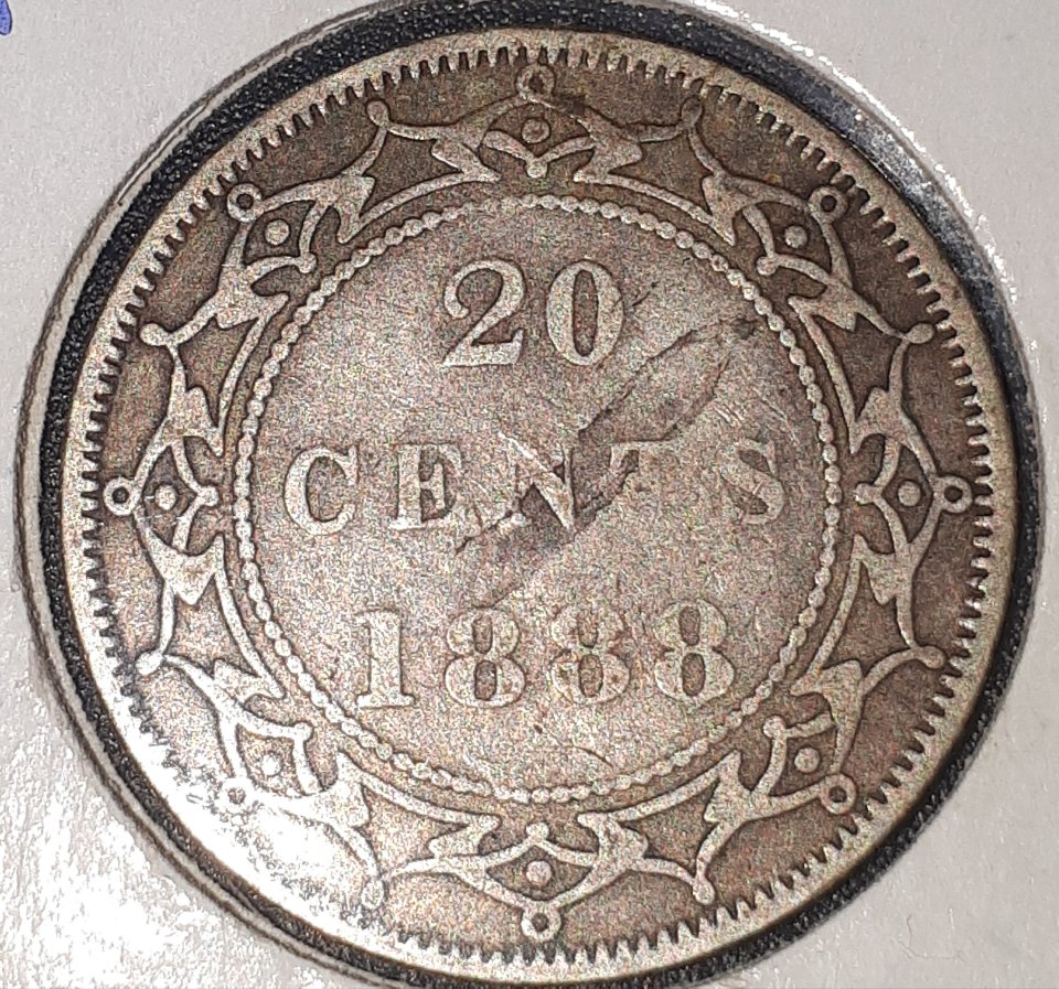 1888-Newfoundland-20c-Weirdness