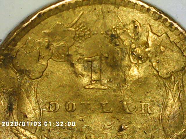1855-Small-Head-Gold-Dollar-Coin