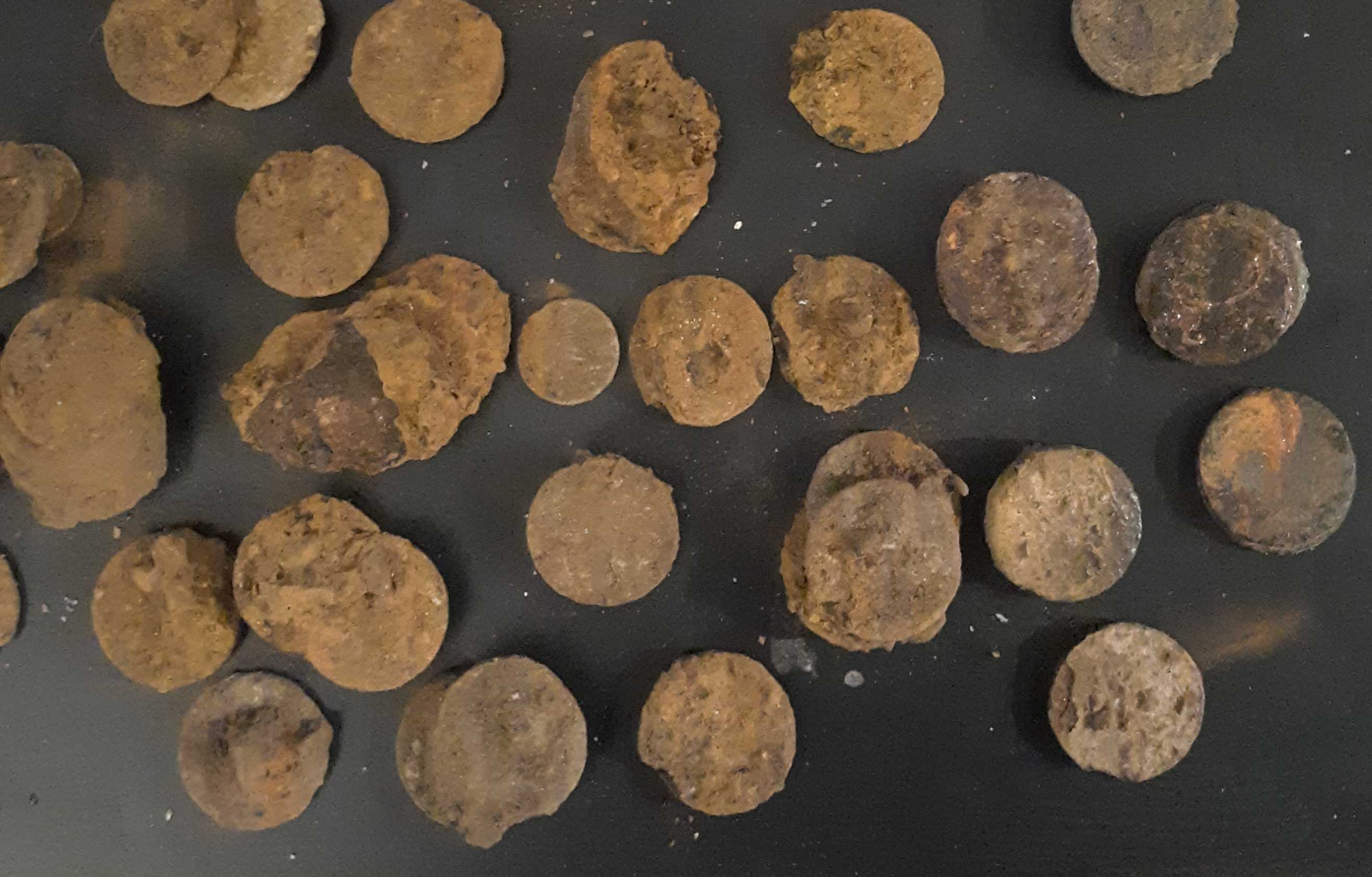 Found-A-Bunch-Of-Coins-Buried-In-Back-Yard