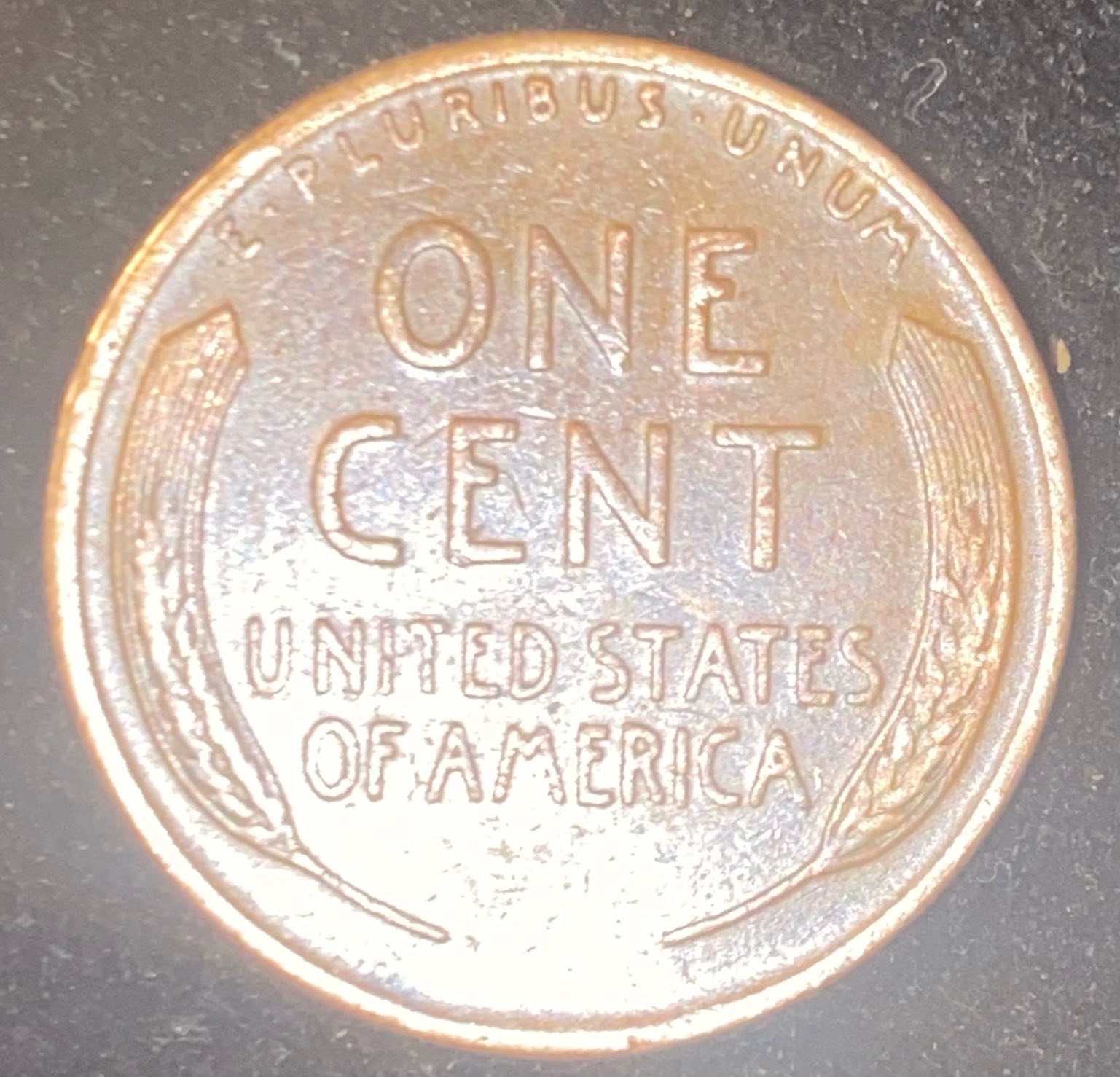 1954-D-LWC-Eyelid-Very-Prominent