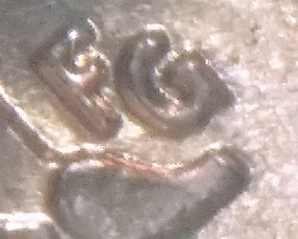1992-D-LMC.-DDR-Or-Something-Else?