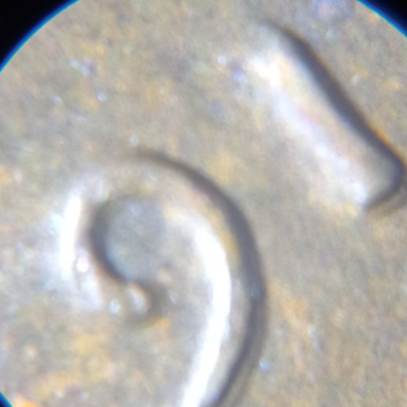 1916-P-LWC-Error?-Can-Find-One-Documented-To-Compare