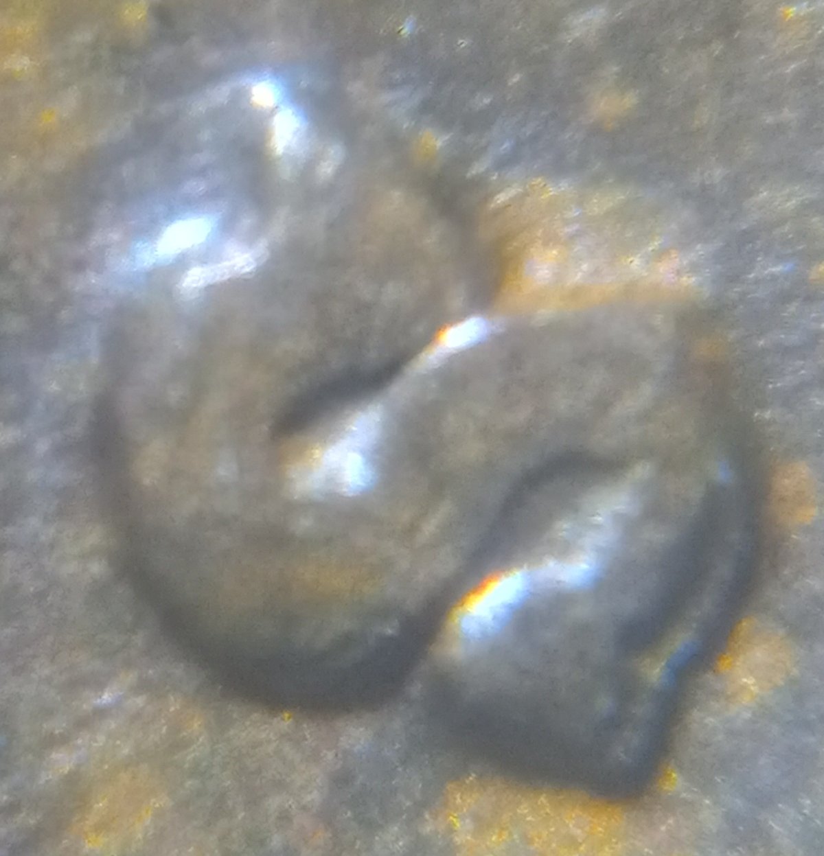 1941-LWC-DDO-Error-Maybe?