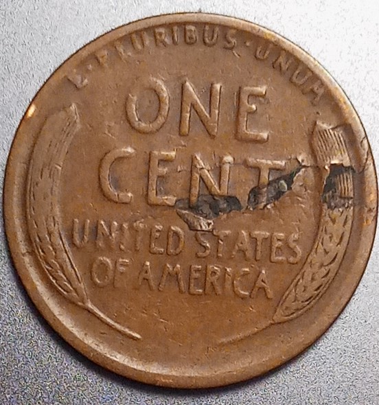1917-S-Lincoln-Wheat-Cent-Lamination-For-Grading