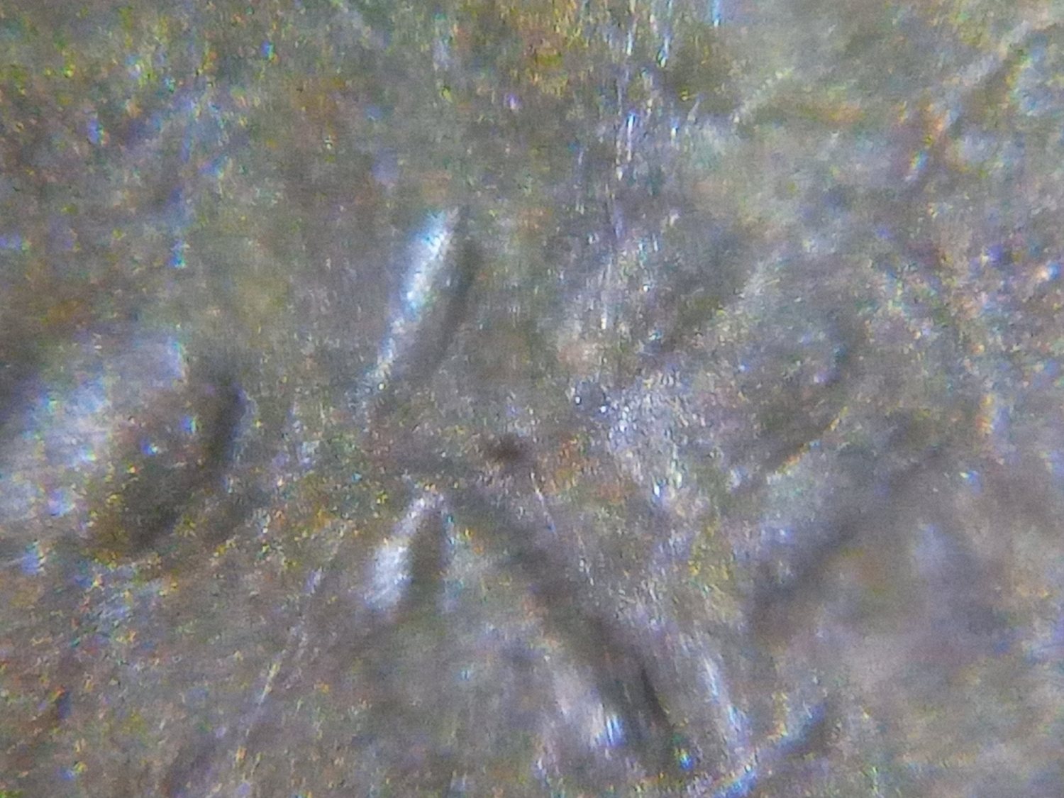 1969-D-Lincoln-Memorial-Cent.-Imprints-Of-A-Memorial-Underneath-The-Memorial.-E-In-States