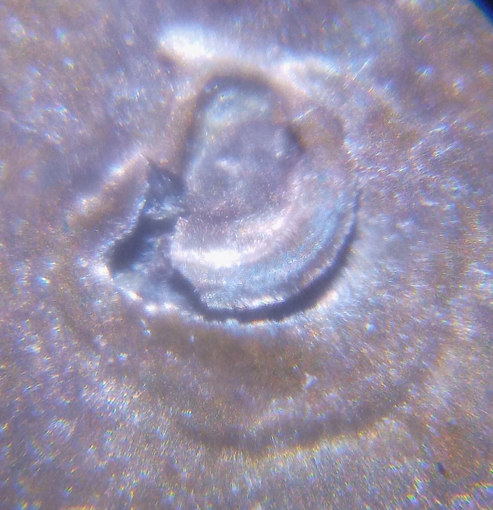 1988-D-Lincoln-Memorial-Cent.-Mad.-Is-The-MM-A-Lamination-?