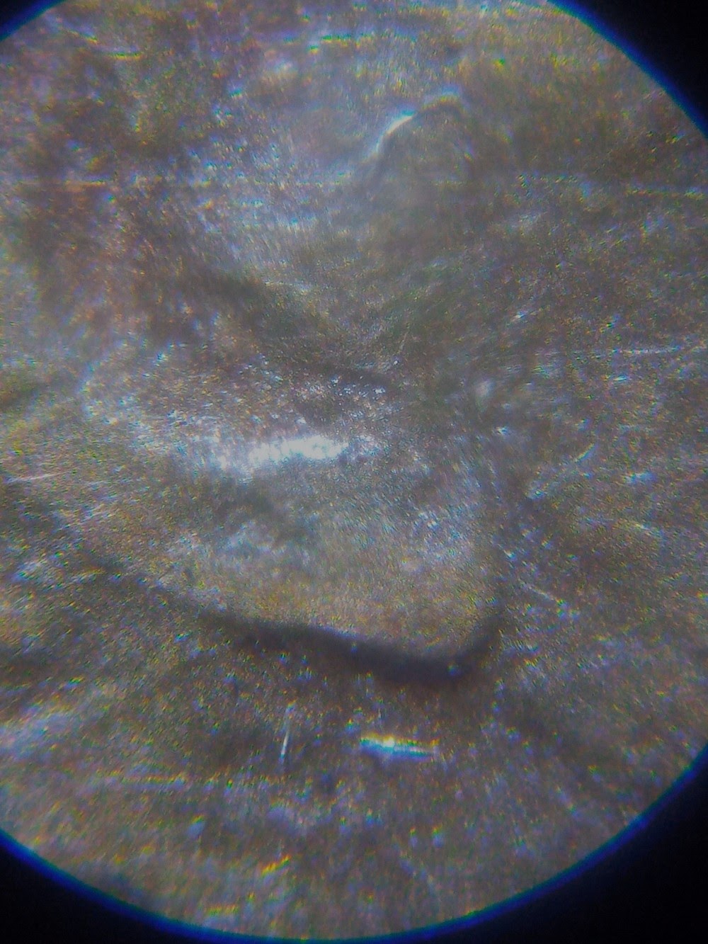 1982-D-Lincoln-Cent-Do?-Also-Epu-Look-Diff