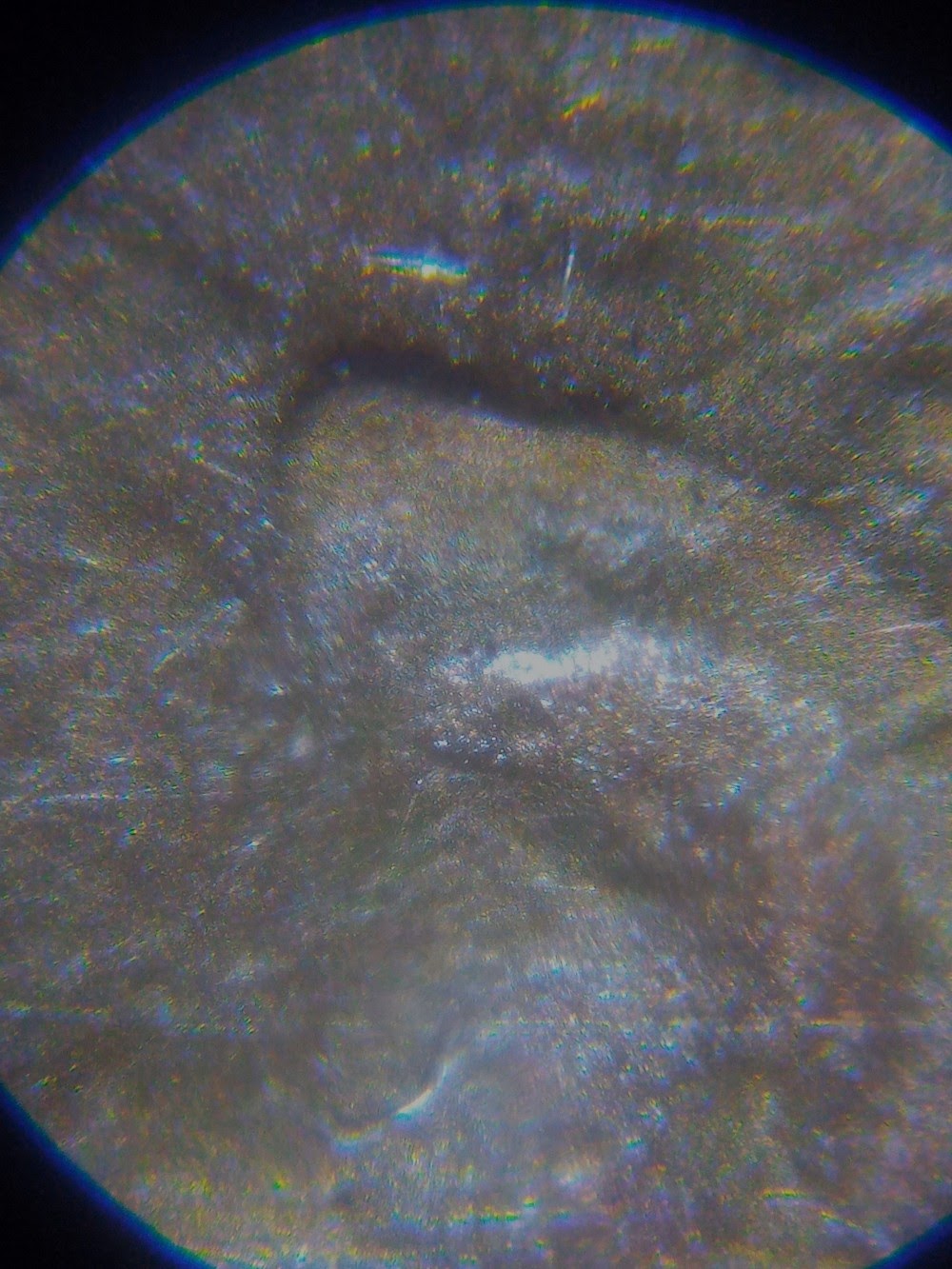 1982-D-Lincoln-Cent-Do?-Also-Epu-Look-Diff