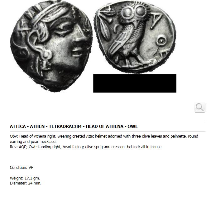 My-First-Animal-On-A-Coin.