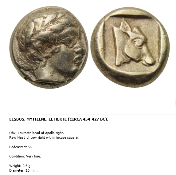 My-First-Animal-On-A-Coin.