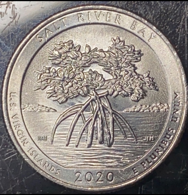 2020-Salt-River-Bay-Quarter-Error-Halo-Like-Thing