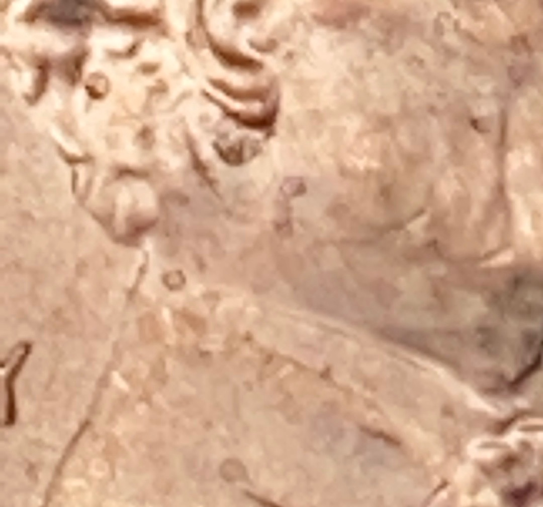 2020-Lincoln-Cent-Doubling-Of-The-Ear-Below-The-Line