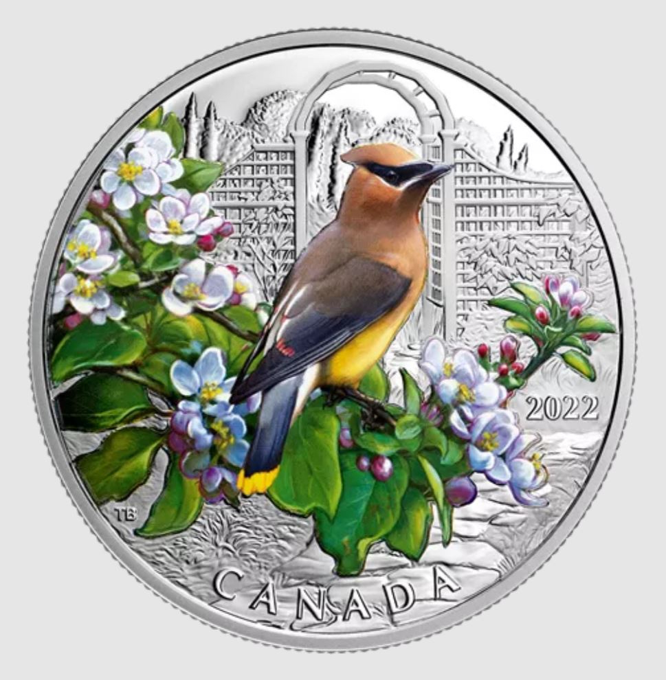 2021-1-Oz.-Silver-Coin---Colourful-Birds:-Blue-Jay