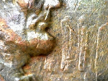 1972-D-Lincoln-Cent-Mule?