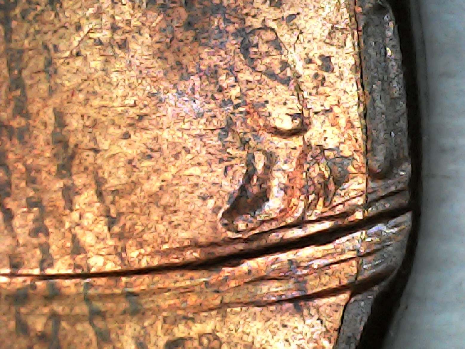2016-Lincoln-Cent-Mule?