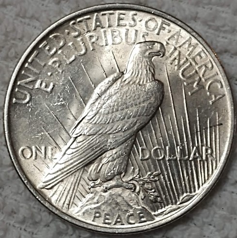 Can-We-Grade-This-1922-Peace-Dollar-Please?