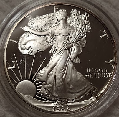 Dearborn's-American-Eagle-Coin-Collection.