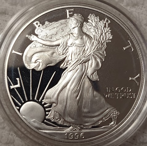 Dearborn's-American-Eagle-Coin-Collection.