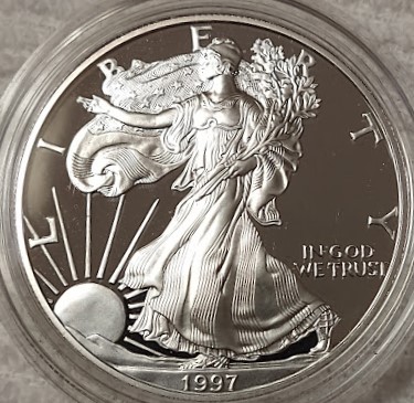 Dearborn's-American-Eagle-Coin-Collection.