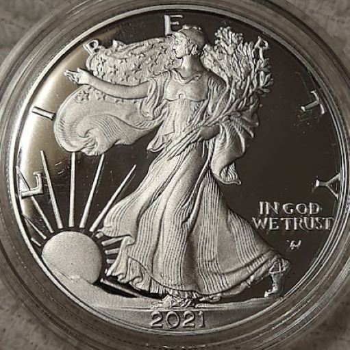 Dearborn's-American-Eagle-Coin-Collection.