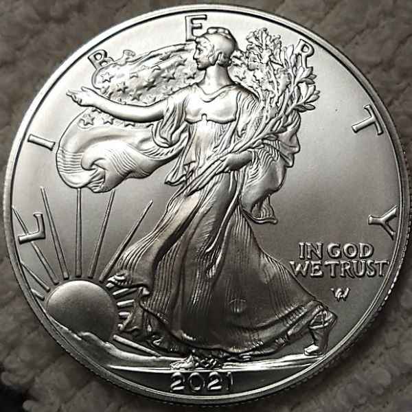 Dearborn's-American-Eagle-Coin-Collection.