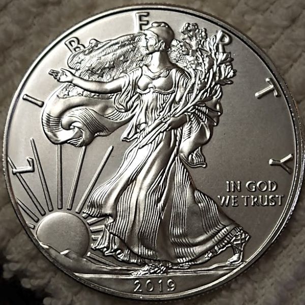 Dearborn's-American-Eagle-Coin-Collection.