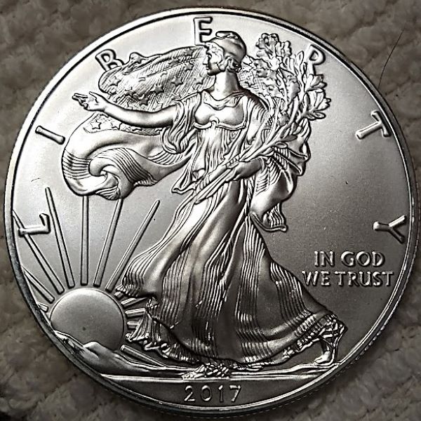 Dearborn's-American-Eagle-Coin-Collection.