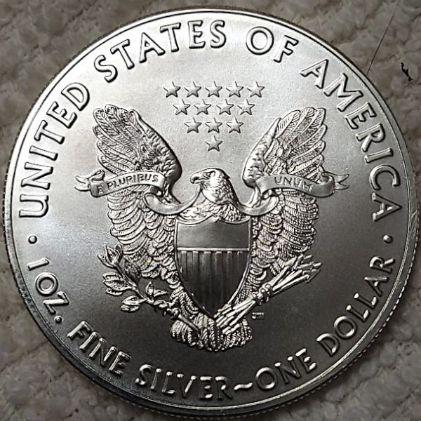 Dearborn's-American-Eagle-Coin-Collection.