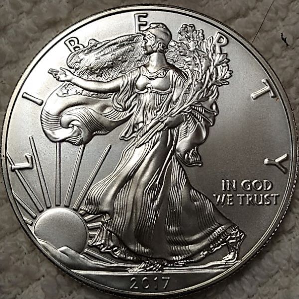 Dearborn's-American-Eagle-Coin-Collection.