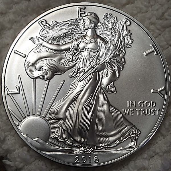 Dearborn's-American-Eagle-Coin-Collection.