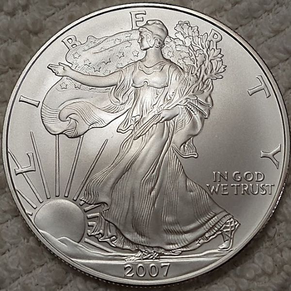 Dearborn's-American-Eagle-Coin-Collection.