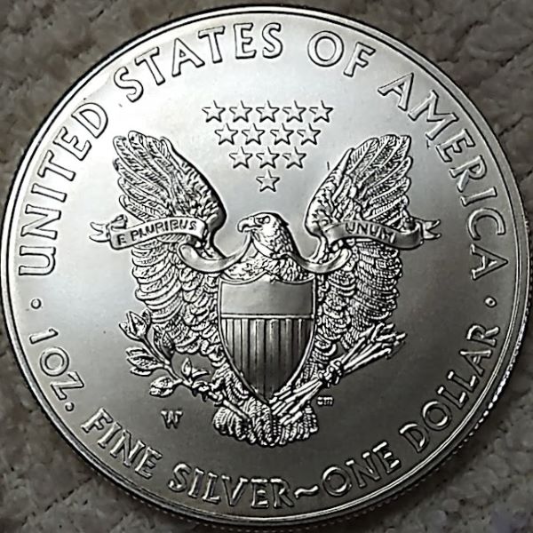 Dearborn's-American-Eagle-Coin-Collection.