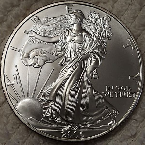 Dearborn's-American-Eagle-Coin-Collection.