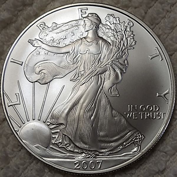 Dearborn's-American-Eagle-Coin-Collection.