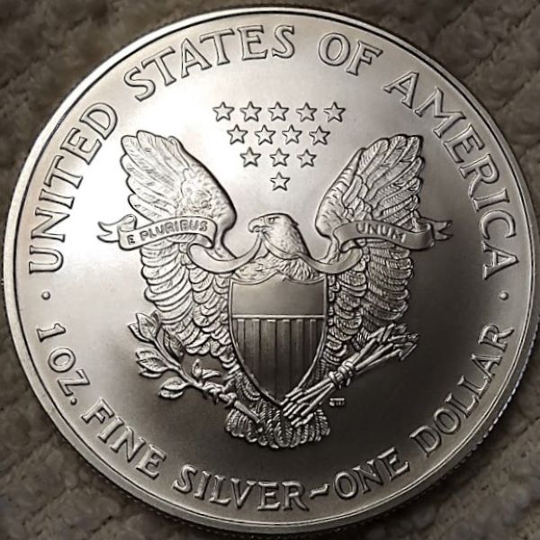 Dearborn's-American-Eagle-Coin-Collection.