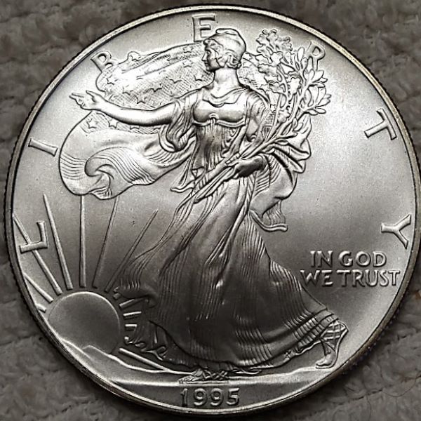 Dearborn's-American-Eagle-Coin-Collection.