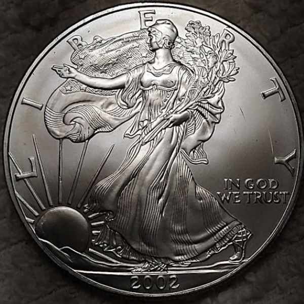 Dearborn's-American-Eagle-Coin-Collection.