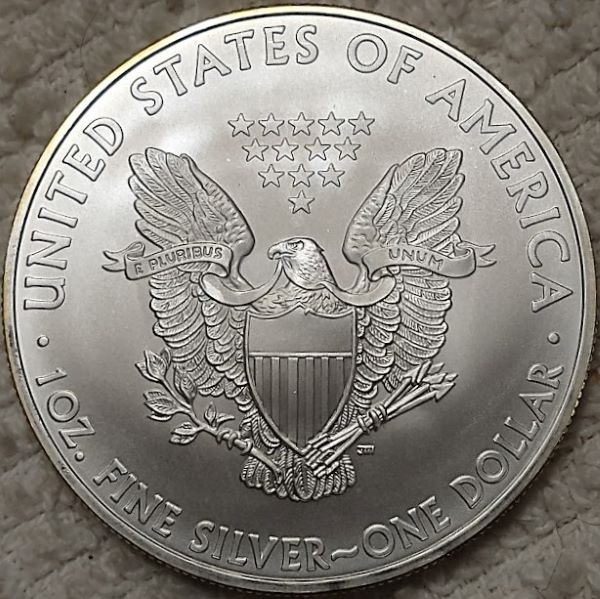 Dearborn's-American-Eagle-Coin-Collection.